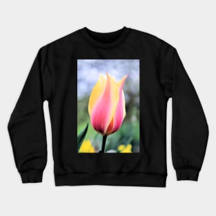 Candy colored single tulip macro Crewneck Sweatshirt